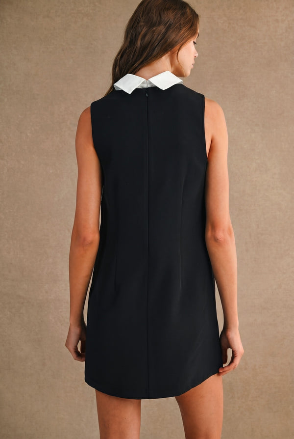 Shirt Collar Mini Dress