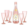Acrylic Champagne Bottle + Glasses