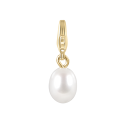 Charms by Electric Picks