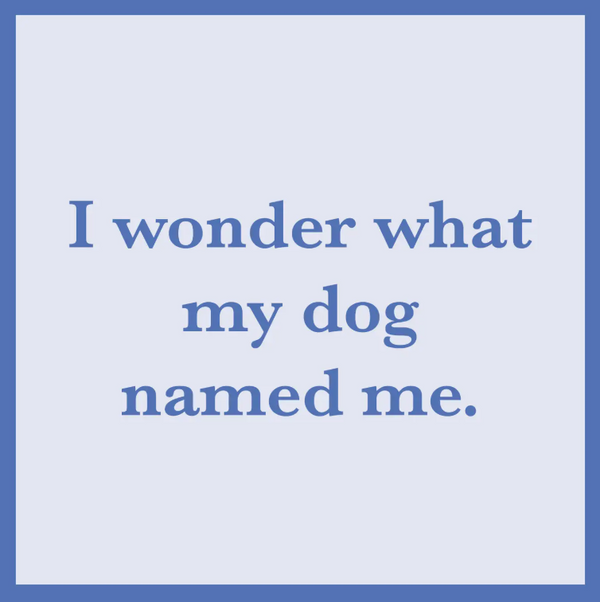 Funny Greeting Cards