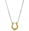 Horse Shoe Necklace