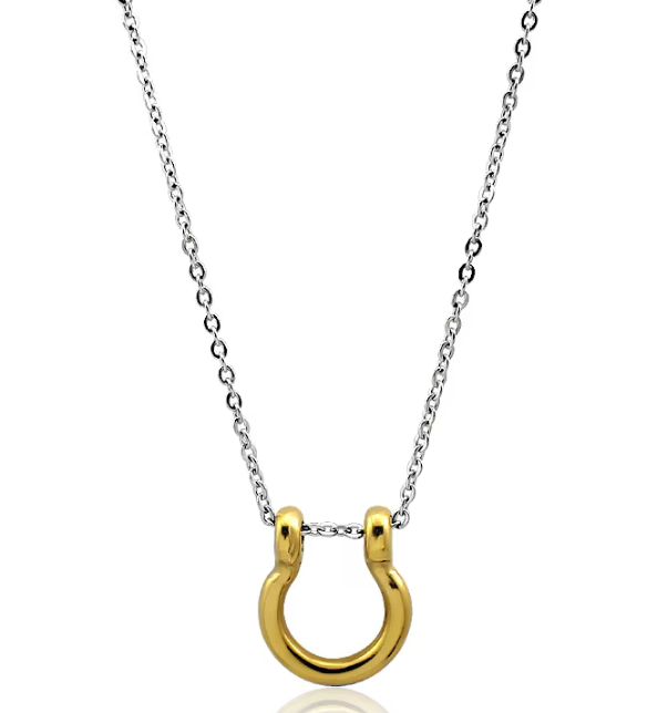 Horse Shoe Necklace