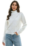 Sequin Turtle Neck Sweater