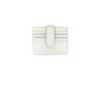 Metallic Card Holder