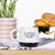 Tell The Dishes Mug